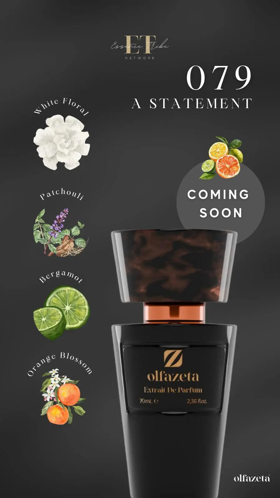 Cod - 079 Herrenparfüm mit 30% Essenz - 70 ml