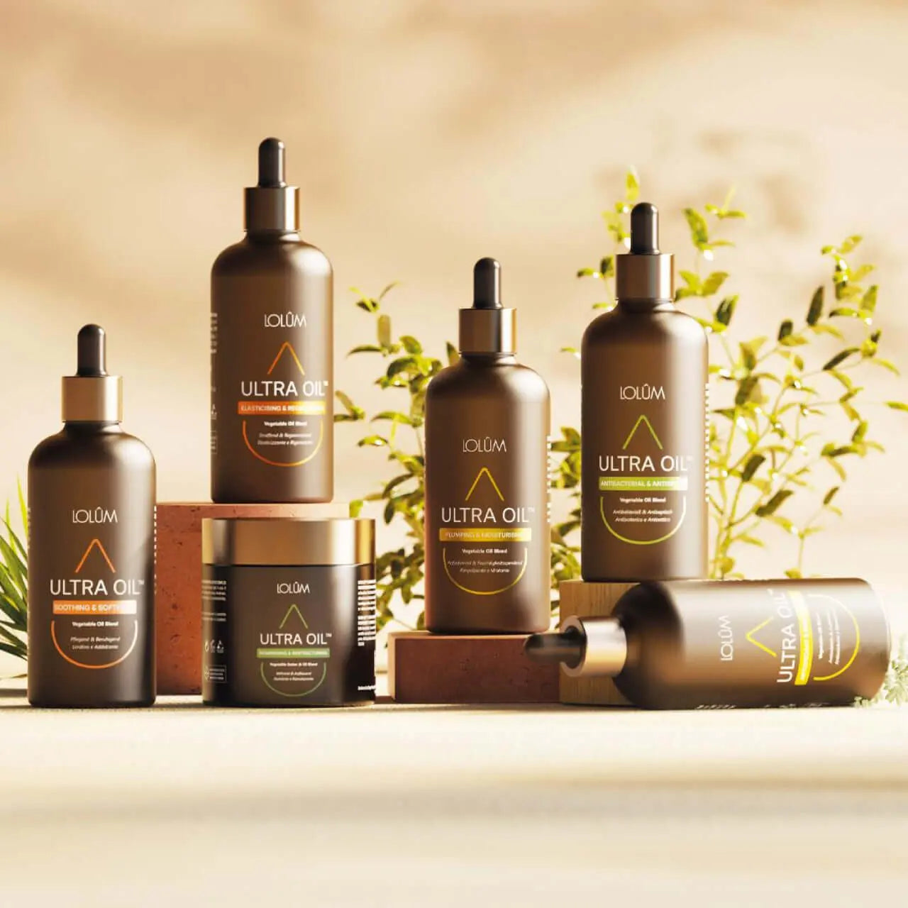 Vegetable Oil - Blend Set - LOLSET02