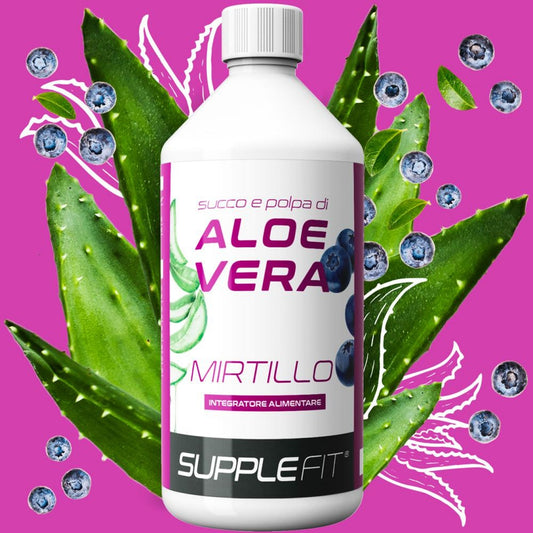 Saft und Fruchtfleisch der ALOE VERA mit Heidelbeerensaft – 1 Liter